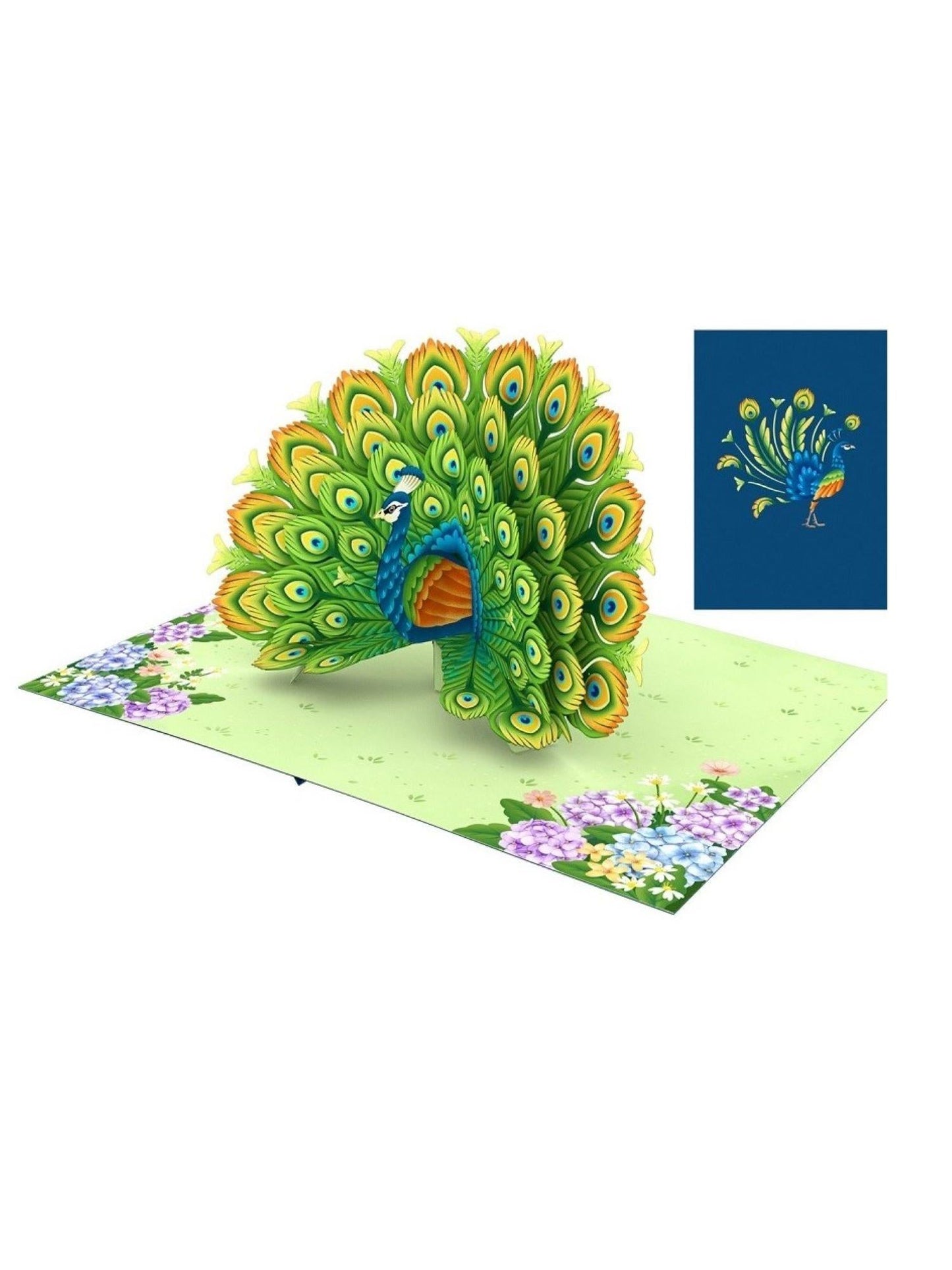 Origamo biglietto di auguri pop up con pavone