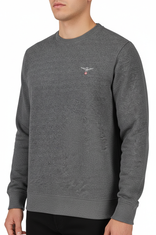 Accademia Militare Felpe