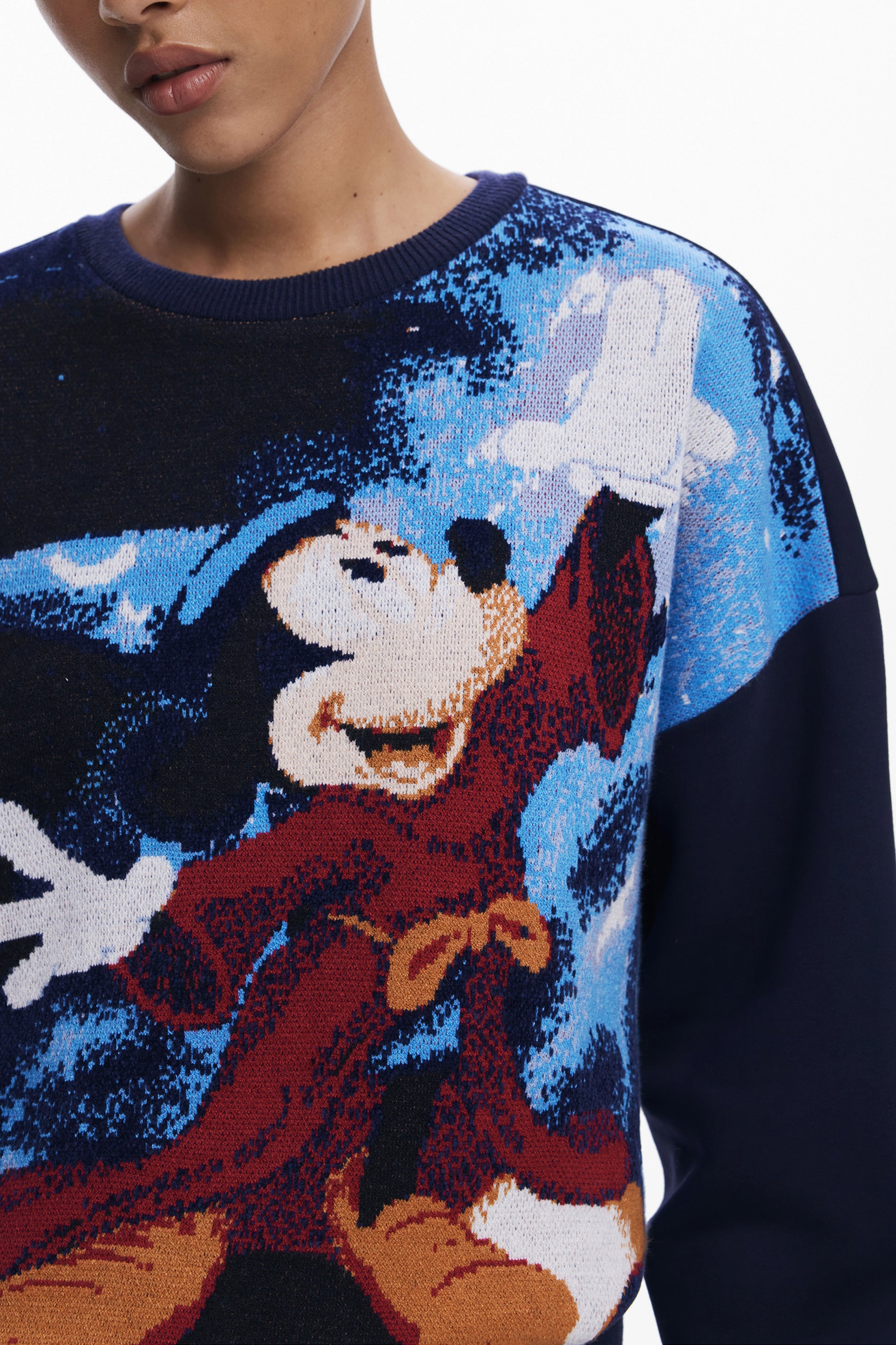 Desigual Felpe - mem39