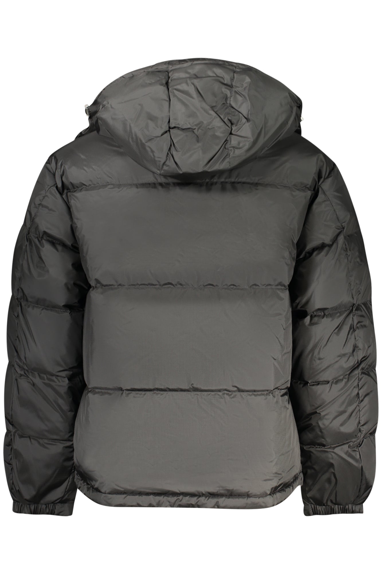 TOMMY HILFIGER GIUBBOTTI E GIACCHE